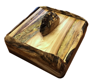 Walnut burl
